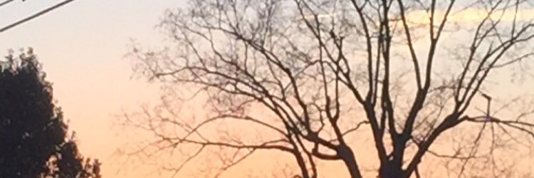 _brithickman's profile banner image