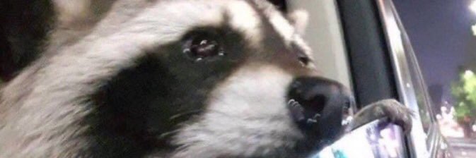 pp banner