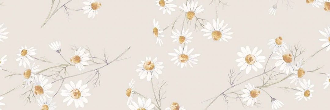 CaitlynChari's profile banner image