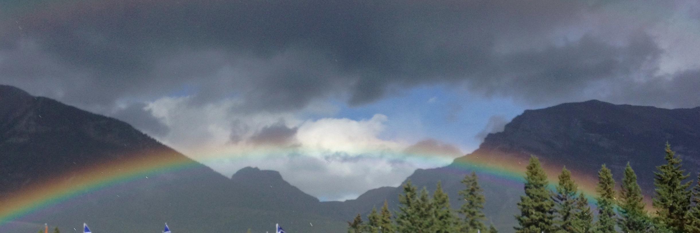 CommitteedOut banner