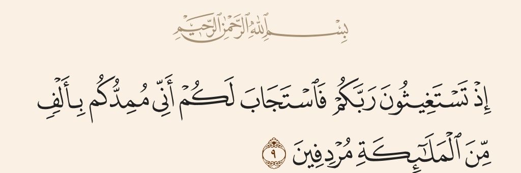 فالكُو سِييد banner