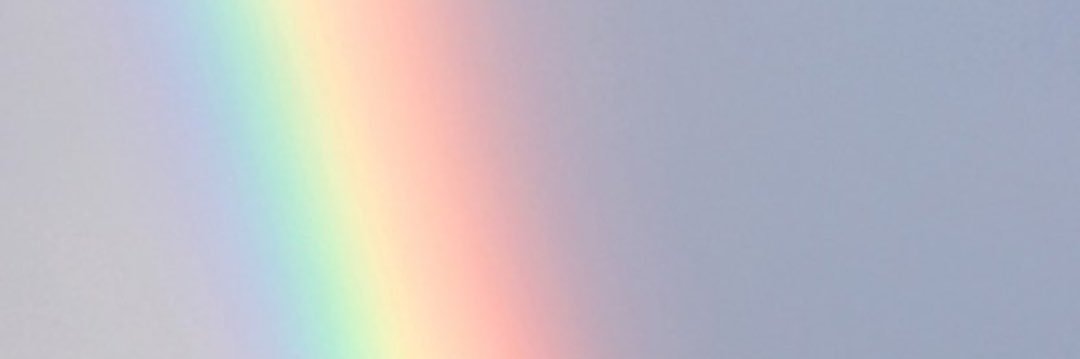 shery__83's profile banner image