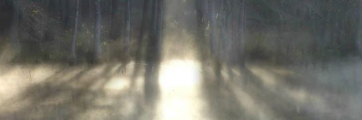 𓈒𓏸 banner