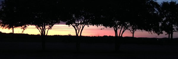 SujataNeidig Profile Banner