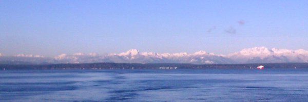 vikingfest Profile Banner