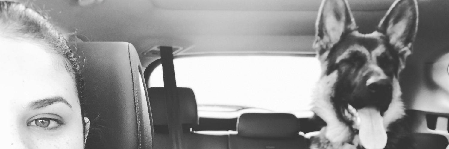 aline4vasi's profile banner image