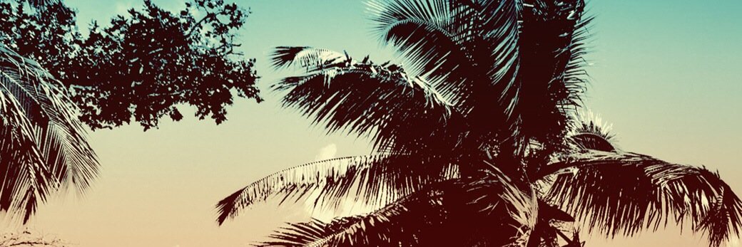 Elizabeth Dawson banner