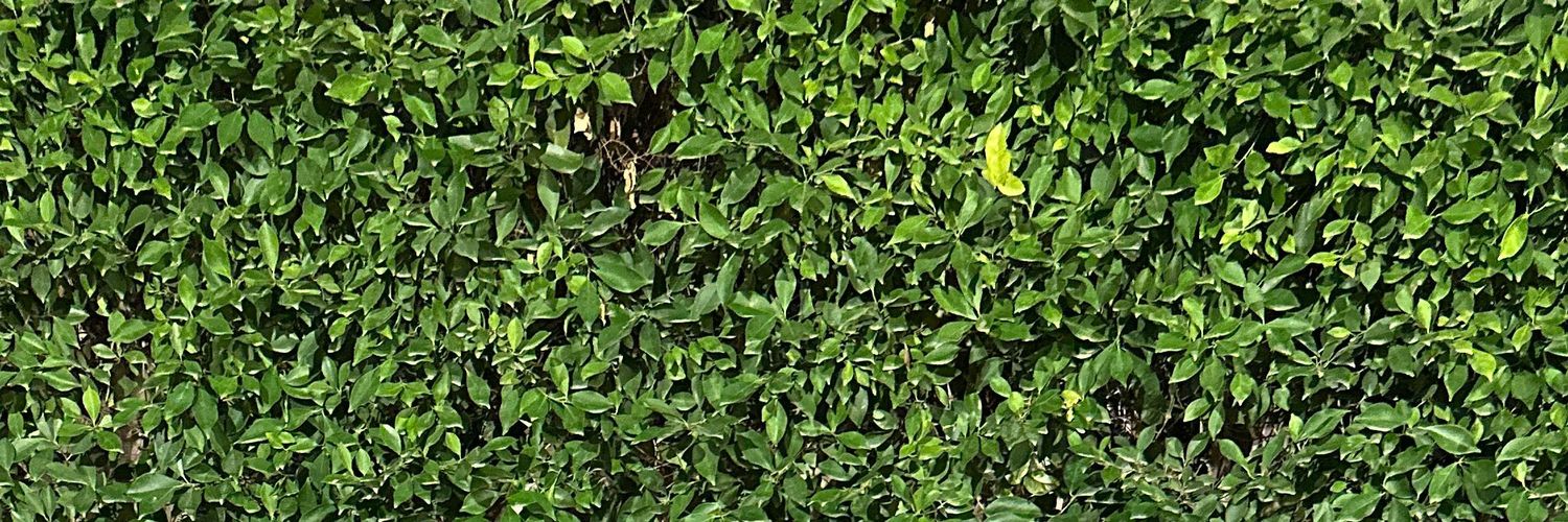 sosh9v's profile banner image