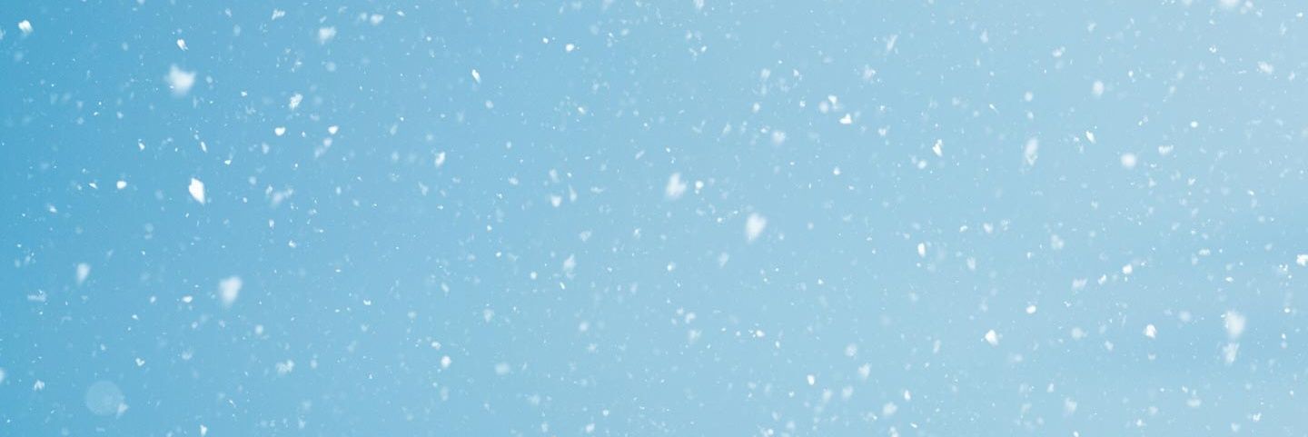 Mica Carante banner