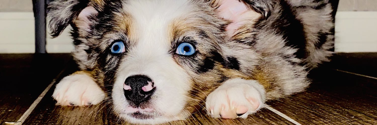 RealMikeHuffman's profile banner image