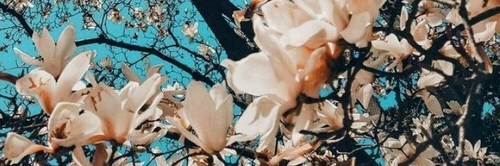 _saragaspar's profile banner image