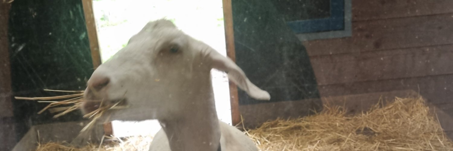 Sander Timmerman banner