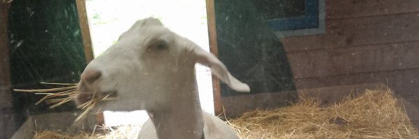 SanderFMC Profile Banner