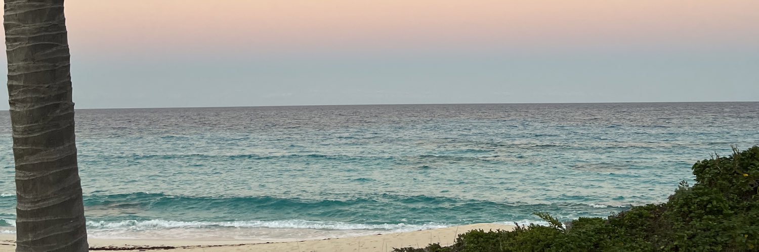 carlyxbalanda's profile banner image