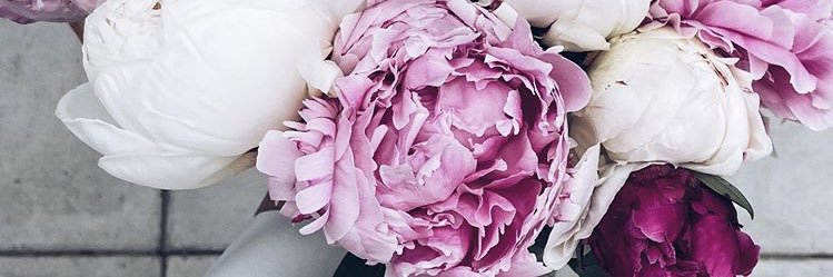 vicky_kim21's profile banner image