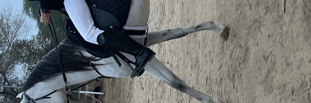 OAlq98's profile banner image