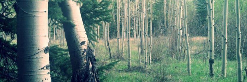 JesseRiley1's profile banner image