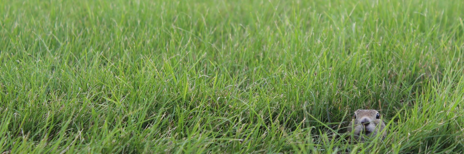 WilliamGoerzen's profile banner image
