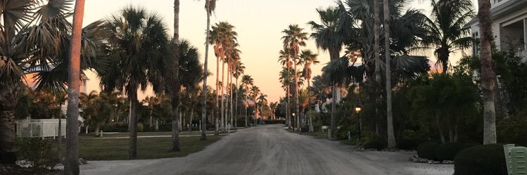 MaddieHamather's profile banner image