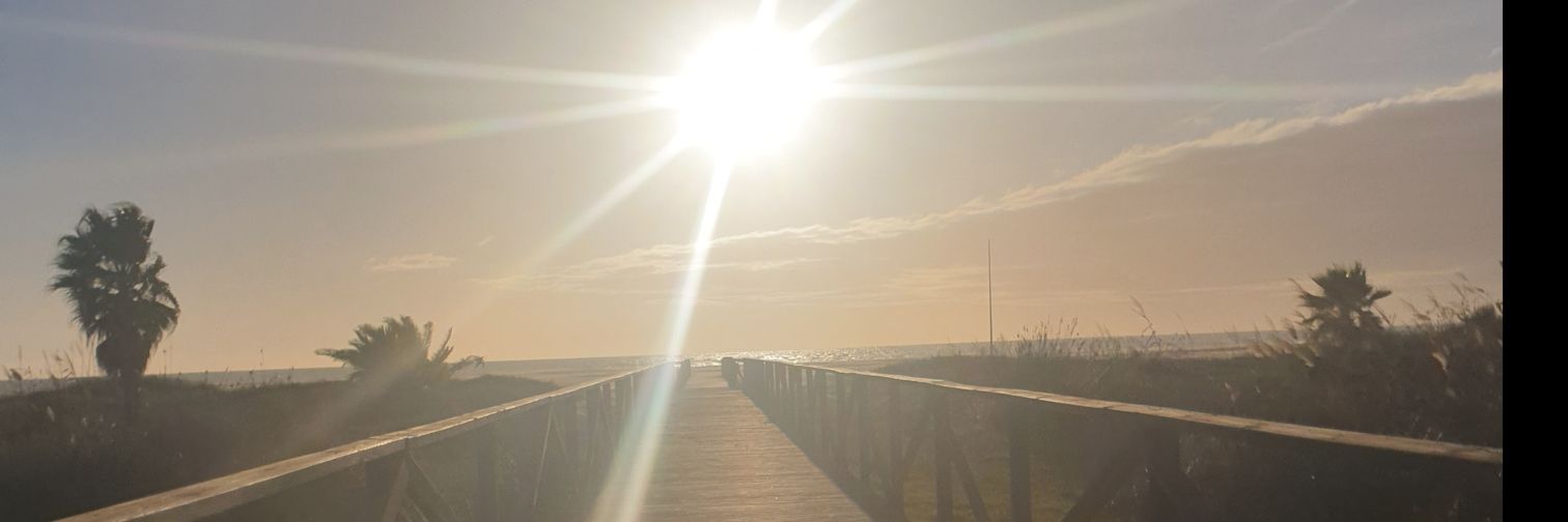 sandrafrex's profile banner image