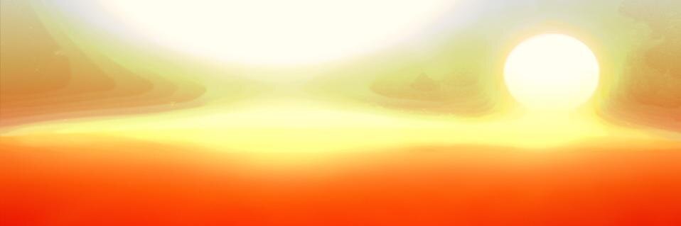FLF banner