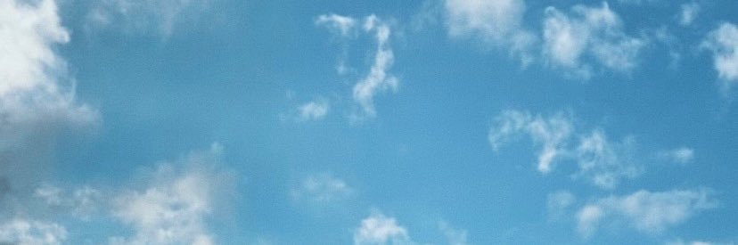 alicysequeira's profile banner image