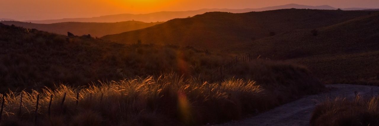 ElPeridiario's profile banner image