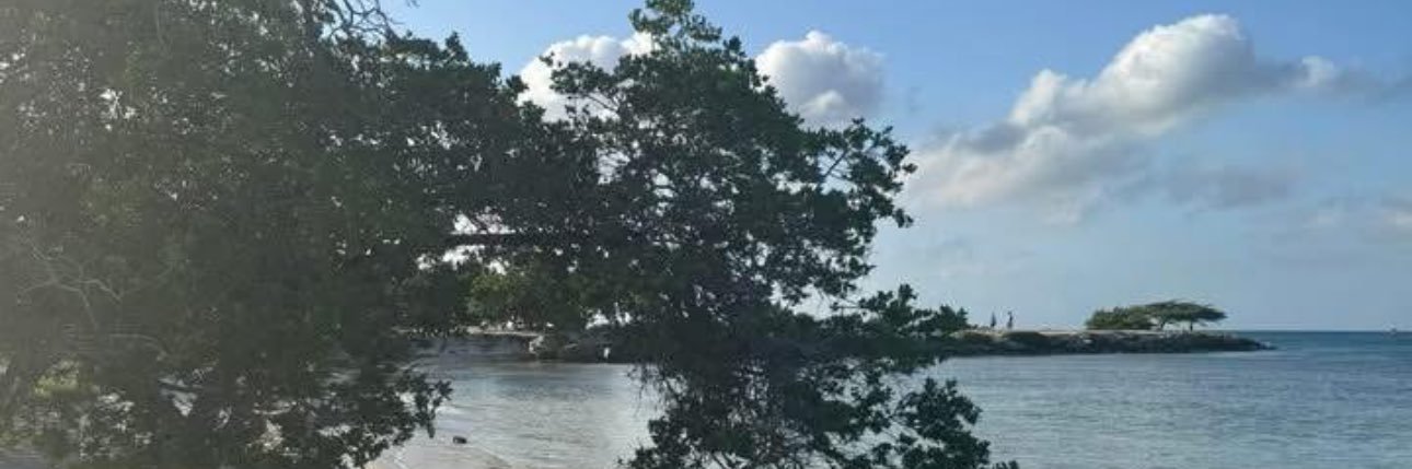 Deirdre Reilly banner