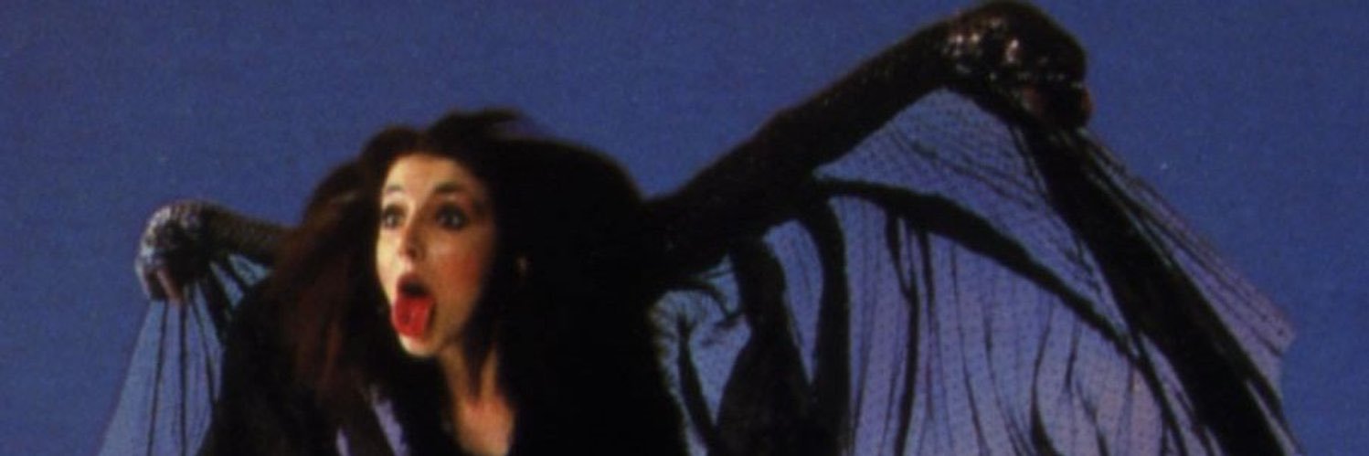 Derek Steel banner