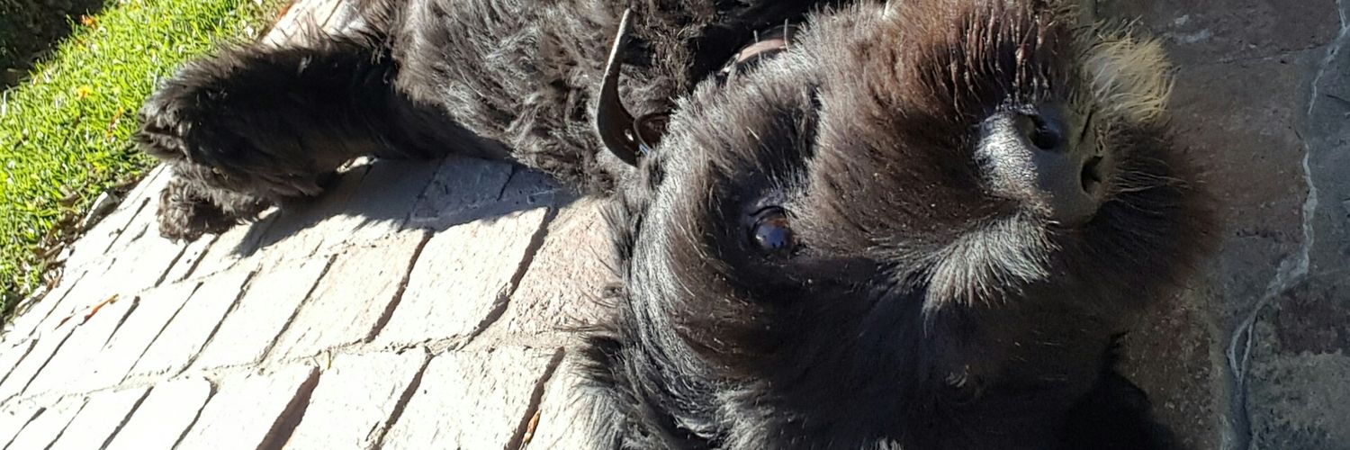 Aldiiiilop's profile banner image