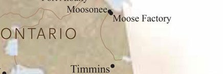 LKoosees's profile banner image