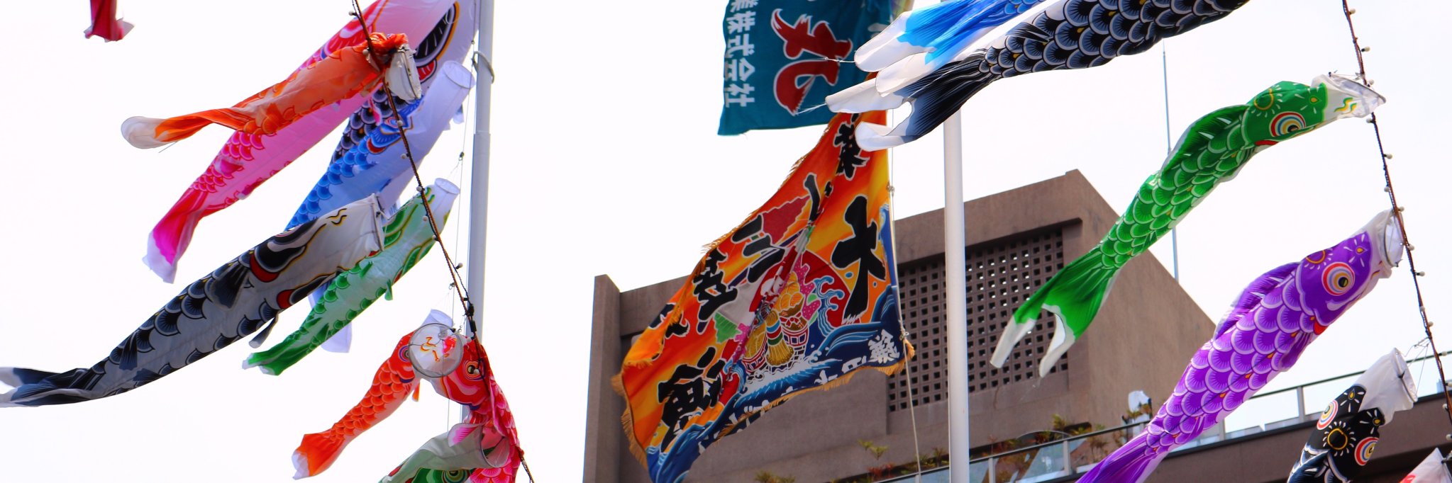 tradrbm's profile banner image