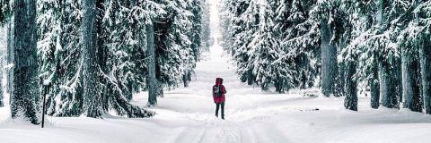 nano4455's profile banner image