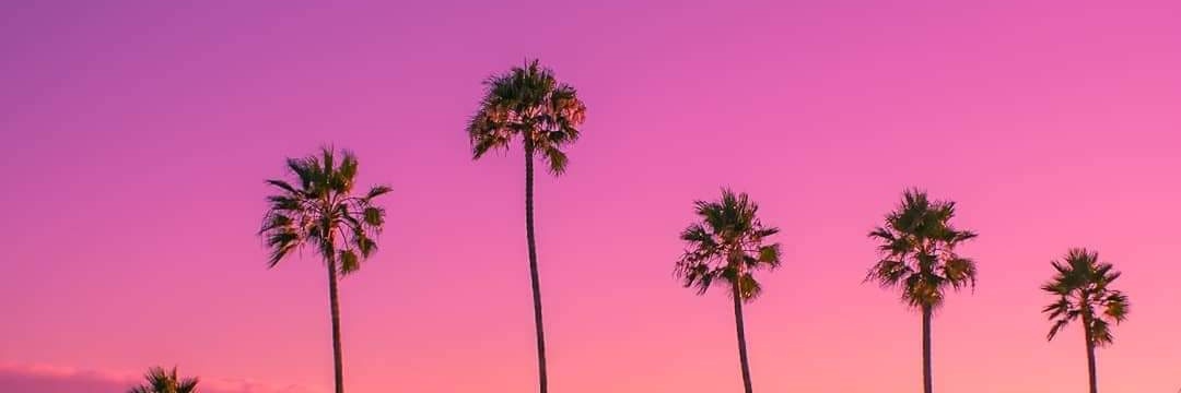 Kevin Adrian banner