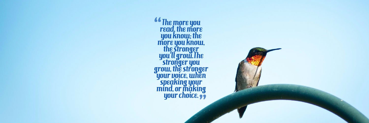 Holmquist Librarian banner