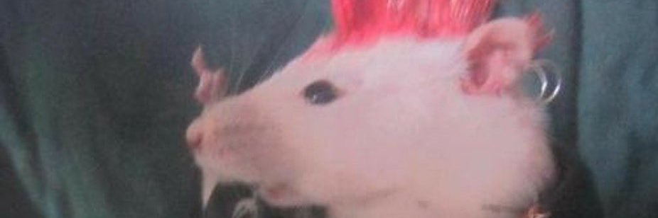 RadBeefcake's profile banner image