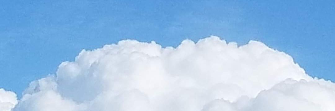 PNW banner