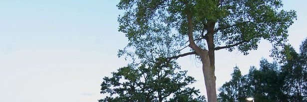 stevekimberley's profile banner image