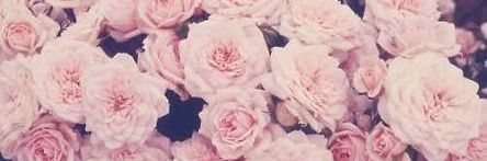 Jeni_Tum's profile banner image