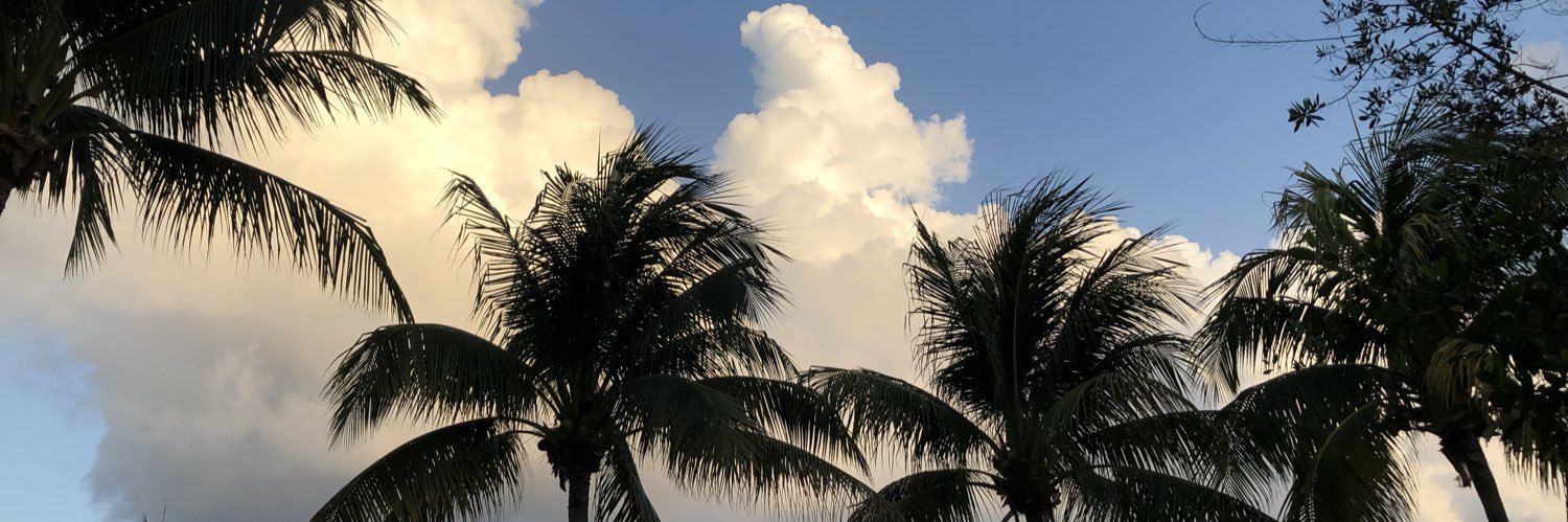 mollyycox's profile banner image