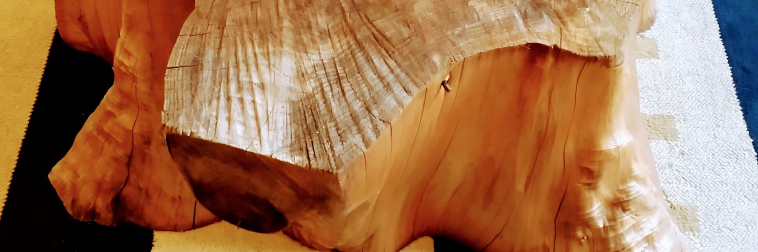 kungfukilt's profile banner image