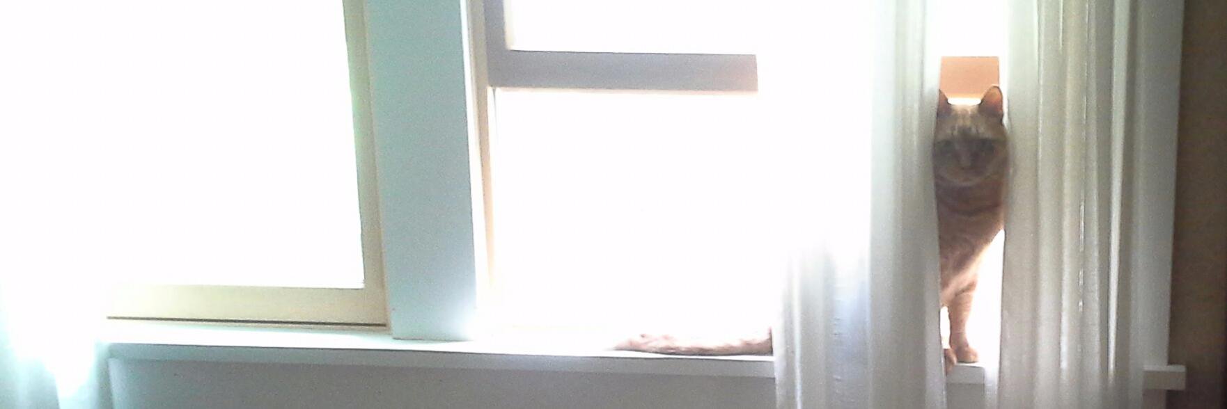 JackONutter's profile banner image
