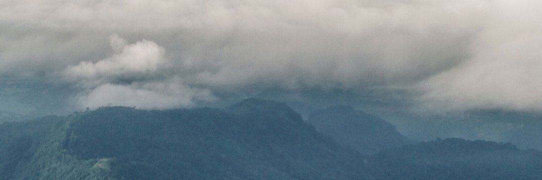 Marii_Petterson's profile banner image