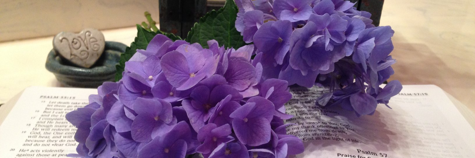 KristiMButler's profile banner image