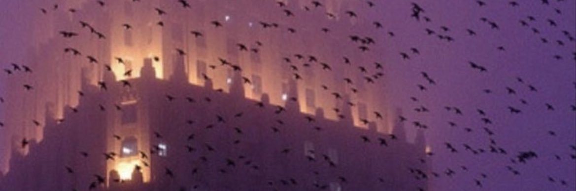 hoze banner