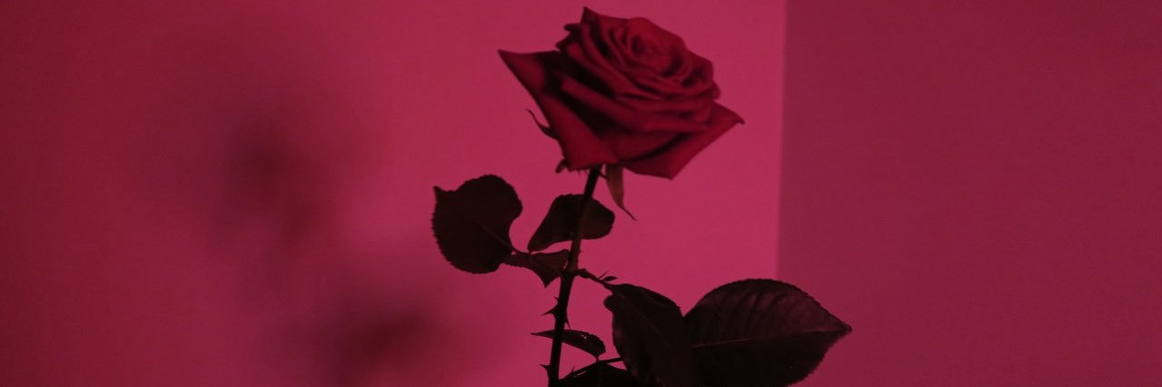 krystalayee_'s profile banner image