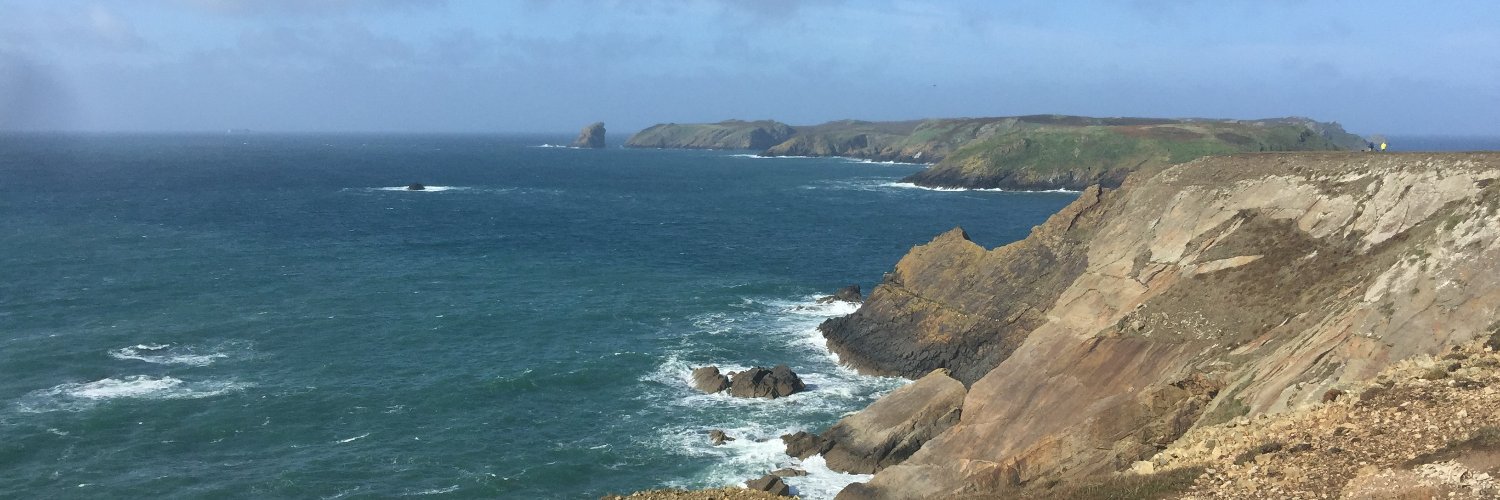 Jerry Reed, PhD, MSW banner