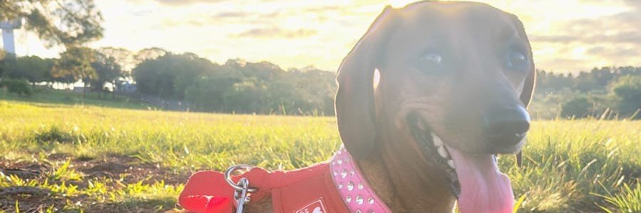 aniitaromero92's profile banner image