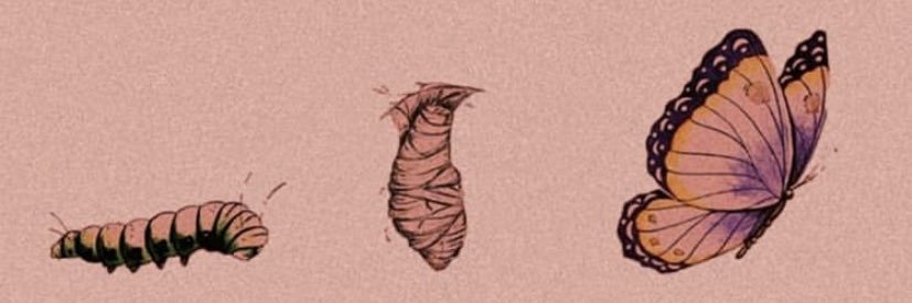 🇵🇸 Twizzlers Stan Account banner