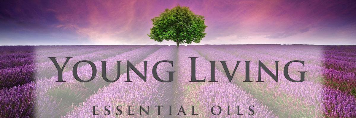 MicheleLRuhmann's profile banner image